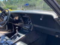 1981 Chevrolet Corvette for sale in Michigan (ID-126856)