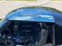 1981 Chevrolet Corvette for sale in Michigan (ID-126856)