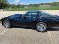 1981 Chevrolet Corvette for sale in Michigan (ID-126856)