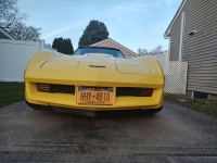 1981 Chevrolet Corvette for sale in Riverhead, New York (ID-127847)