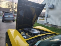 1981 Chevrolet Corvette for sale in Riverhead, New York (ID-127847)