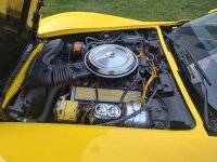 1981 Chevrolet Corvette for sale in Riverhead, New York (ID-127847)