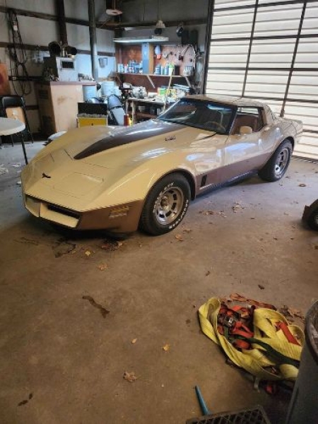 1981 Chevrolet Corvette for sale in Michigan (ID-130427) 1981 Chevrolet Corvette for sale in Michigan (ID-130427)