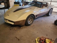 1981 Chevrolet Corvette for sale in Michigan (ID-130427)