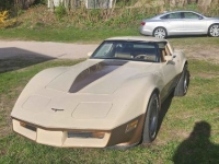 1981 Chevrolet Corvette for sale in Michigan (ID-130427)
