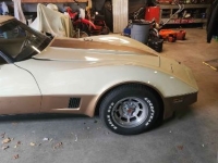 1981 Chevrolet Corvette for sale in Michigan (ID-130427)