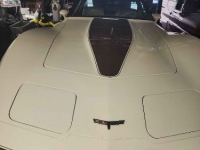 1981 Chevrolet Corvette for sale in Michigan (ID-130427)