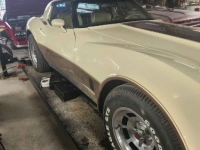 1981 Chevrolet Corvette for sale in Michigan (ID-130427)