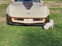 1981 Chevrolet Corvette for sale in Michigan (ID-130427)