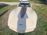 1981 Chevrolet Corvette for sale in Michigan (ID-130427)