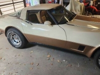 1981 Chevrolet Corvette for sale in Michigan (ID-130427)