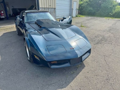 1981 Chevrolet Corvette for sale