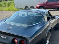 1981 Chevrolet Corvette for sale in Michigan (ID-130838)