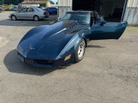 1981 Chevrolet Corvette for sale in Michigan (ID-130838)
