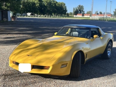 1981 Chevrolet Corvette for sale