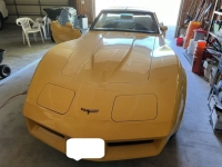 1981 Chevrolet Corvette for sale in Michigan (ID-131902)