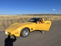 1981 Chevrolet Corvette for sale in Michigan (ID-131902)