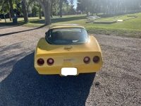 1981 Chevrolet Corvette for sale in Michigan (ID-131902)