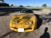1981 Chevrolet Corvette for sale in Michigan (ID-131902)