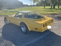 1981 Chevrolet Corvette for sale in Michigan (ID-131902)