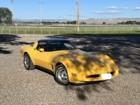 1981 Chevrolet Corvette for sale in Michigan (ID-131902)
