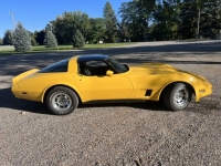 1981 Chevrolet Corvette for sale in Michigan (ID-131902)