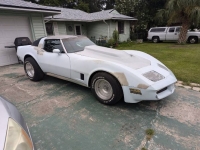1981 Chevrolet Corvette for sale in Michigan (ID-132535)