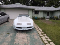 1981 Chevrolet Corvette for sale in Michigan (ID-132535)