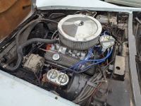 1981 Chevrolet Corvette for sale in Michigan (ID-132535)