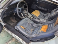 1981 Chevrolet Corvette for sale in Michigan (ID-132535)