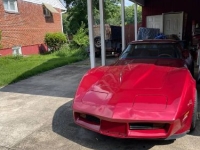 1981 Chevrolet Corvette for sale in Michigan (ID-133161)