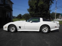 1981 Chevrolet Corvette for sale in Michigan (ID-134182)