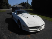 1981 Chevrolet Corvette for sale in Michigan (ID-134182)