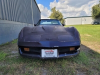 1981 Chevrolet Corvette for sale in Riverhead, New York (ID-134380)