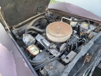 1981 Chevrolet Corvette for sale in Riverhead, New York (ID-134380)