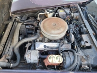 1981 Chevrolet Corvette for sale in Riverhead, New York (ID-134380)