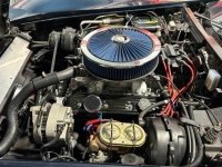 1981 Chevrolet Corvette for sale in Michigan (ID-134452)