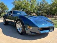 1981 Chevrolet Corvette for sale in Michigan (ID-134452)
