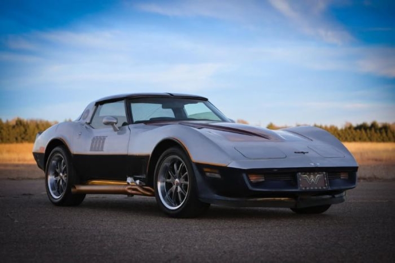 1981 Chevrolet Corvette for sale in Michigan (ID-136159)