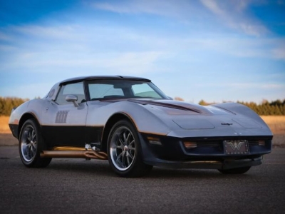 1981 Chevrolet Corvette for sale