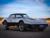 1981 Chevrolet Corvette for sale in Michigan (ID-136159)
