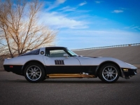 1981 Chevrolet Corvette for sale in Michigan (ID-136159)