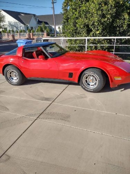 1981 Chevrolet Corvette for sale in Michigan (ID-136274)