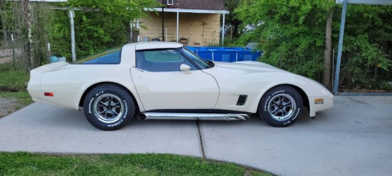 1981 Chevrolet Corvette for sale in Michigan (ID-137979)