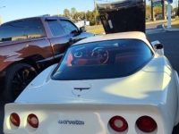 1981 Chevrolet Corvette for sale in Michigan (ID-137979)