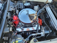 1981 Chevrolet Corvette for sale in Michigan (ID-137979)