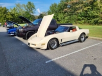 1981 Chevrolet Corvette for sale in Michigan (ID-137979)