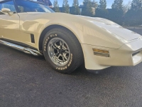 1981 Chevrolet Corvette for sale in Michigan (ID-137979)