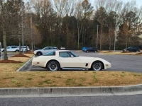 1981 Chevrolet Corvette for sale in Michigan (ID-137979)