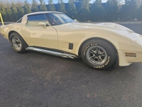 1981 Chevrolet Corvette for sale in Michigan (ID-137979)